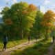 Les micro-forêts urbaines métamorphosent nos villes