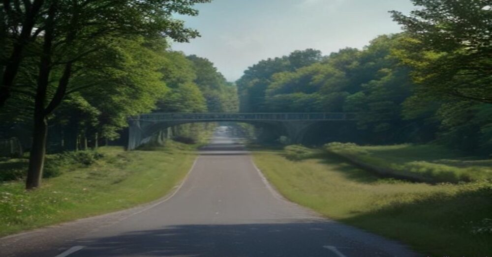 Des ponts de fleurs au-dessus du bitume : comment les autoroutes relient enfin la nature