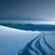 Sous la glace antarctique, nos assiettes dépendent d’un logiciel